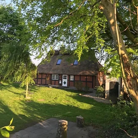 別荘 Reetdachkate Landlust Esgrus